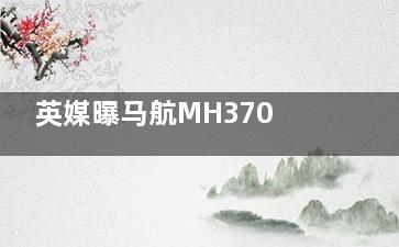 英媒曝马航MH370失联调查新猜测 一架飞机居然凭空消失简直无法想象